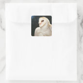 Sluiting van wilde uil vierkante sticker (Tas)