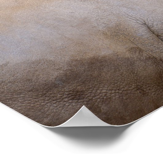 Sluiting van witte neushoorn poster (Hoek)