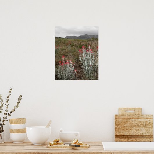 Sluiting van woestijnPlanten, Del Rio, Texas, VS Poster (Keuken)