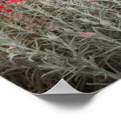 Sluiting van woestijnPlanten, Del Rio, Texas, VS Poster (Hoek)