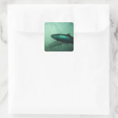 Sluiting van zalm met 2 vierkante sticker (Tas)