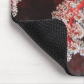 Sluiting van Zee Fan onderwater, Noord-Sulawesi Muismat (Hoek)