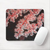 Sluiting van Zee Fan onderwater, Noord-Sulawesi Muismat (Met muis)