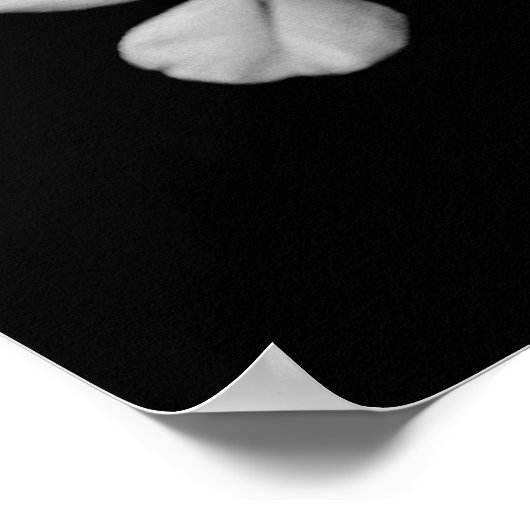 Sluiting van zwarte en witte bloemen poster (Hoek)