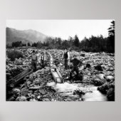 SLUITING VOOR GOLD c. 1890 Poster (Voorkant)