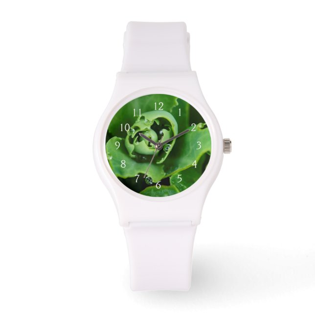 Sluiting, zuinig plant met waterdruppels horloge (Voorkant)
