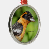 Sluitingen van zwarte haarbek metalen ornament (Rechts)