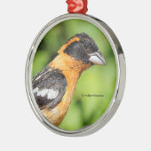 Sluitingen van zwarte haarbek metalen ornament (Links)