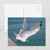 Sluitingen voor haring tijdens de vlucht feestdagenkaart (Voorkant / Achterkant)