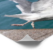 Sluitingen voor haring tijdens de vlucht poster (Hoek)