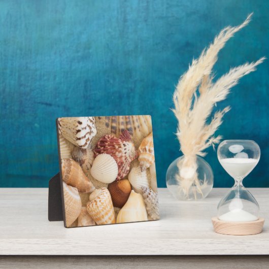 Sluitingsschema Fotoplaat (Insitu)