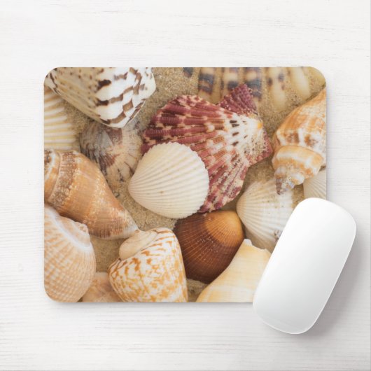 Sluitingsschema Muismat (Met muis)