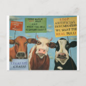 Sluitkoeien Briefkaart (Voorkant)