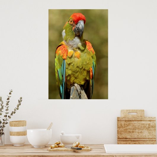 Sluitsem militaire ara poster (Keuken)