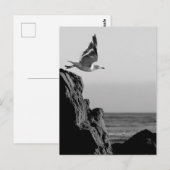 Sluitstukken Briefkaart (Voorkant / Achterkant)
