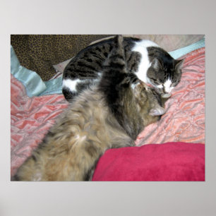 Slumber Buddies Poster