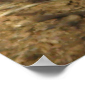 Slumbering Meerkats poster (Hoek)