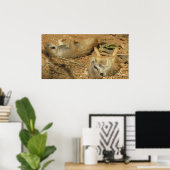 Slumbering Meerkats poster (Thuiskantoor)