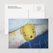 Slumbering Teddy Briefkaart (Voorkant / Achterkant)