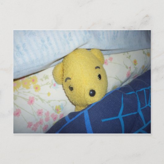 Slumbering Teddy Briefkaart (Voorkant)