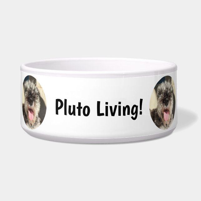 Slurp Bowl Voerbakje (Voorkant)