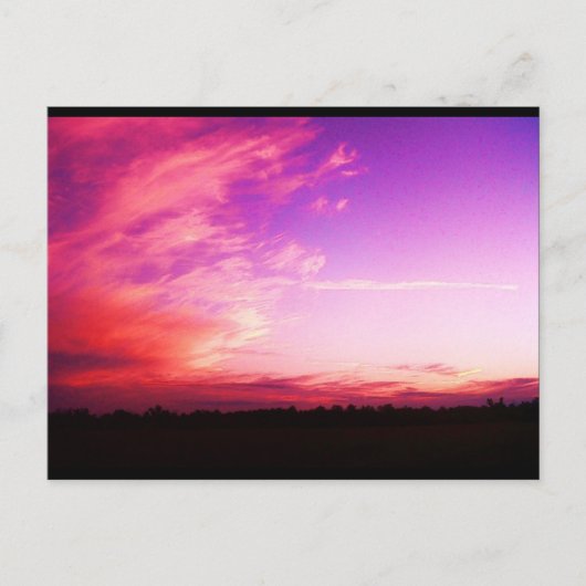 Slushpuppys Fotografie Briefkaart (Voorkant)