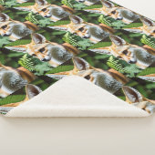 sluwe heksenvos, sherpa deken (3/4)