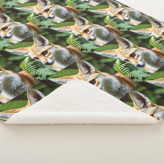 sluwe heksenvos, sherpa deken (3/4)