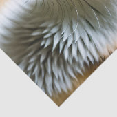 sluwe heksenvos, tissuepapier (Detail)