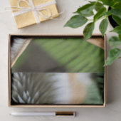 sluwe heksenvos, tissuepapier (Geschenk)