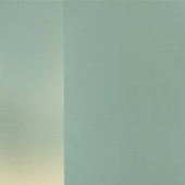 Sluwe ogen van een listige rode vos behang (Zoom)