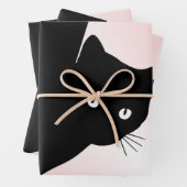 Sly Black Cat Pink Inpakpapier Vel (In situ)