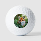 Sly: De vos in de schaduw Golfballen (Voorkant)