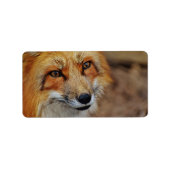Sly Fox Etiket (Voorkant)