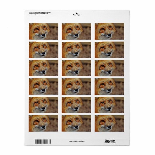 Sly Fox Etiket (Full Sheet)