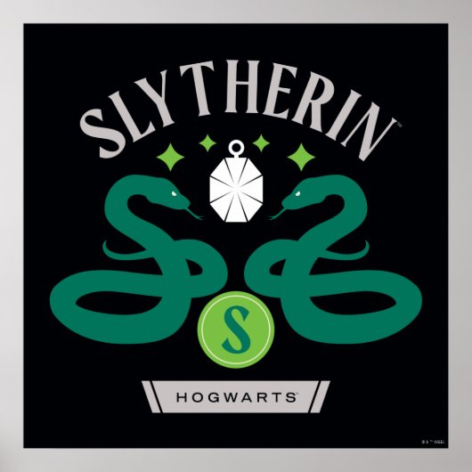 SLYTHERIN™ House Double Snake Locket Graphic Poster (Voorkant)