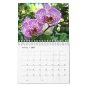 SM Calendar - Bloemenfoto's Kalender (Jan 2027)