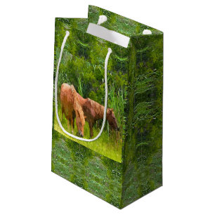 SM Gift Bag Assateague Ponies Klein Cadeauzakje