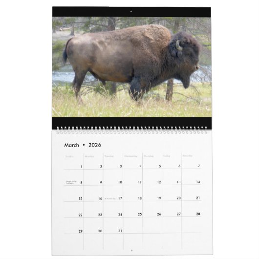 Sm, Med, Lg Calendar Yellowstone Kalender (Mar 2026)