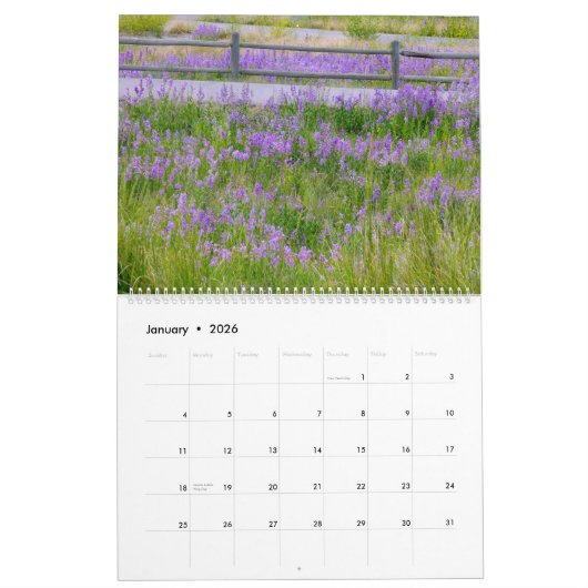 Sm, Med, Lg Calendar Yellowstone Kalender (Jan 2026)