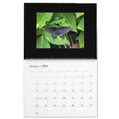 Sm, Med, Lg Calendars - Butterflies Kalender (Jan 2027)