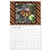 Sm, Med, LG-kalender - Monarch-Butterflies *** Kalender (Jan 2027)