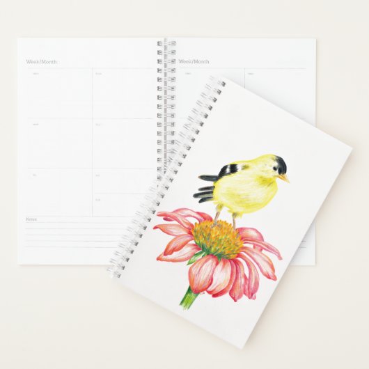 SM Planner Goldfinch op Coneflower (Display)