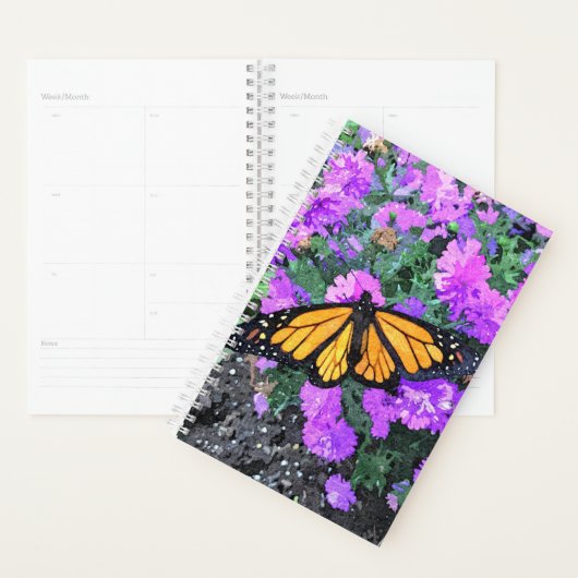 SM Planner Monarch/Asters (Display)