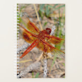 SM Planner Oranje libel (Voorkant)