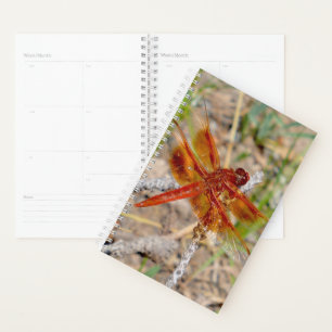 SM Planner Oranje libel