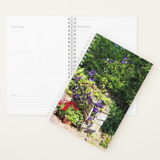 SM Planner - Paarse Clematis aan de wand (Display)