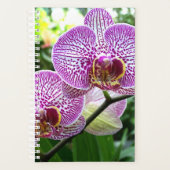 SM Planner Paarse gestreepte orchideeën (Voorkant)