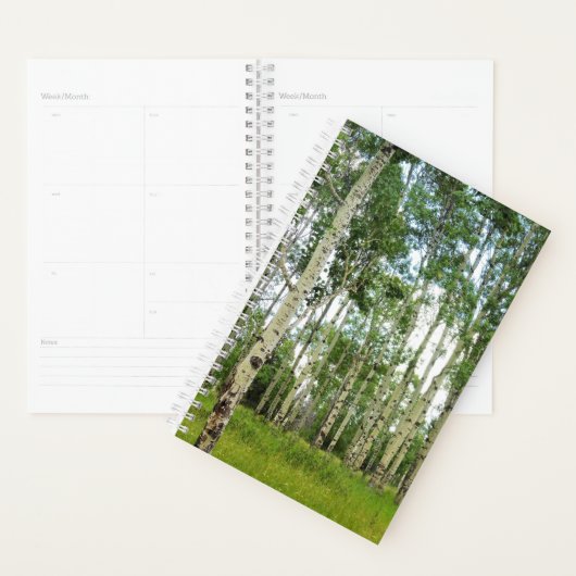 SM Planner Quaking Aspens @ Yellowstone (Display)
