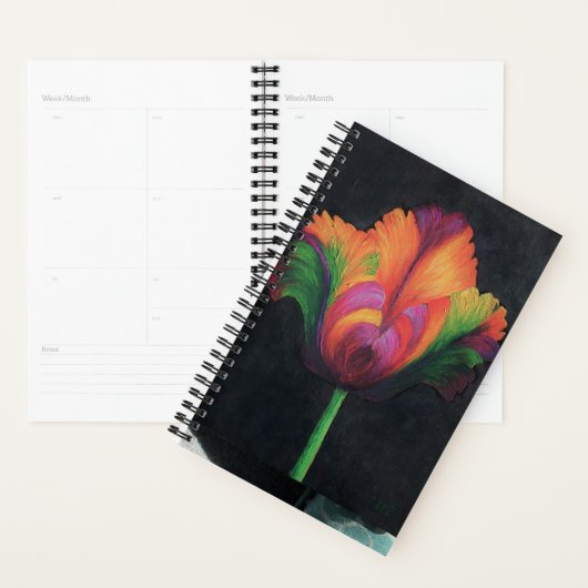 SM Planner Regenboogpapegaai Tulp (Display)